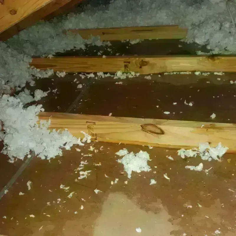 Attic Water Damage in Marietta, WA