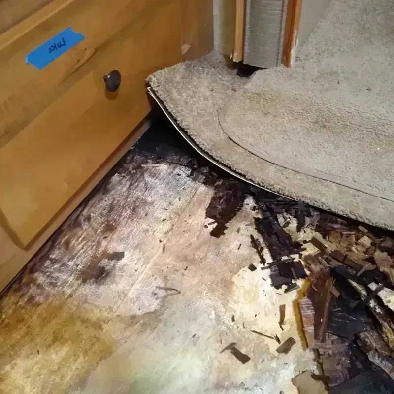 Wood Floor Water Damage in Marietta, WA